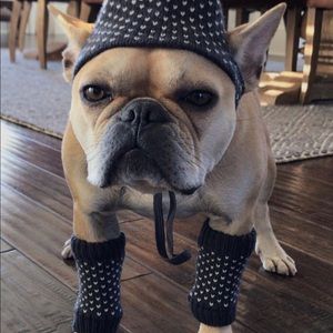 Meet your Posher, Kenneth